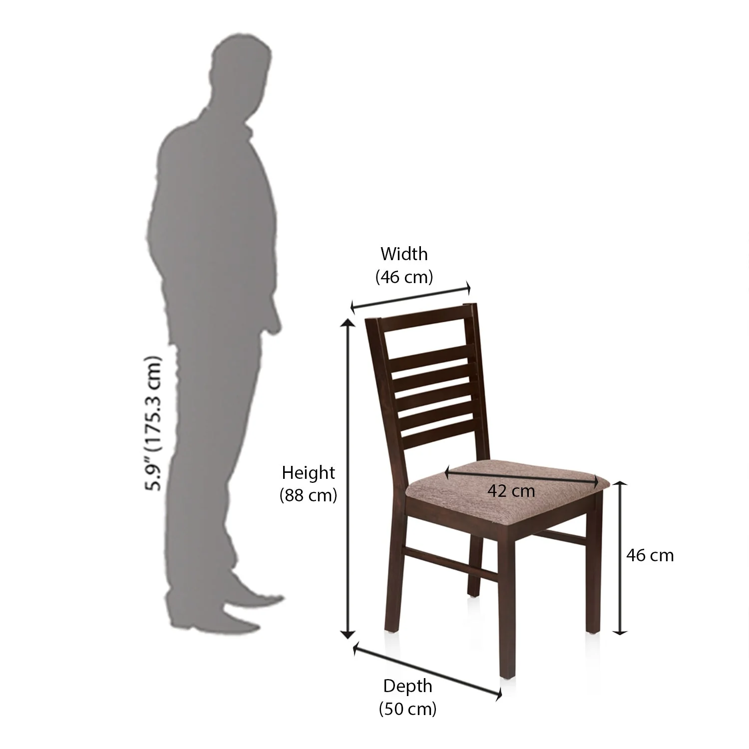 Nilkamal Gem Dining Chair (Cappuccino) - Image 9